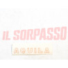 COPPIA ADESIVI BICI BICICLETTA CICLI AQUILA ORIGINALI D'EPOCA