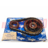 KIT DISTRIBUZIONE INGRANAGGI + CATENA FIAT 1300 1500 BERLINA SPIDER 1100 T